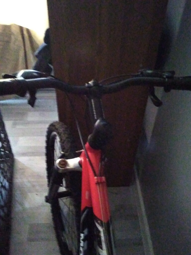 mongoose duster bike